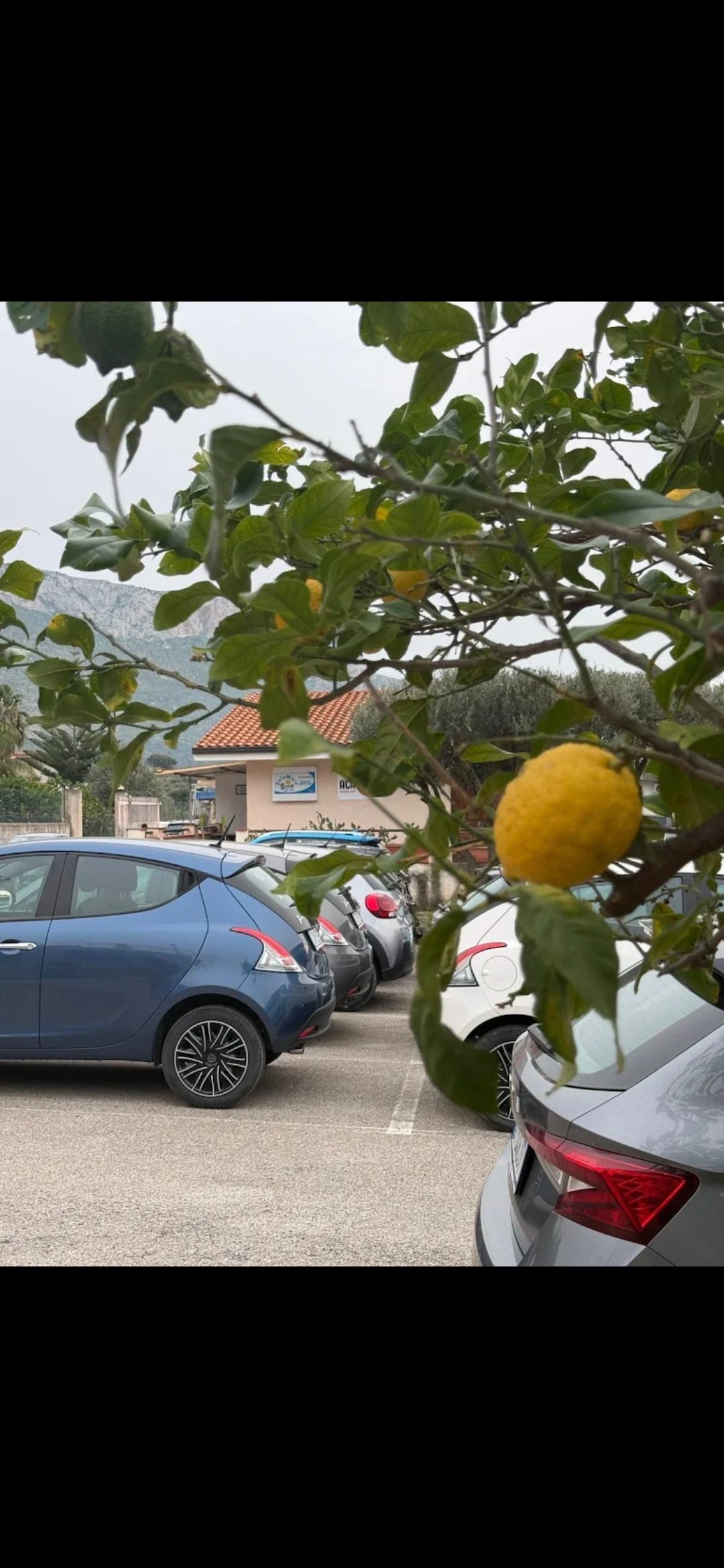 Solemare Sicilia Rent photo 3
